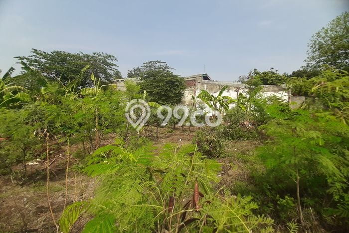 For Rent Tanah Kawasan Semarang Selatan, Luas 1246m², Area Premium For Rent Tanah Kawasan Semarang Selatan, Luas 1246m², Area Premium