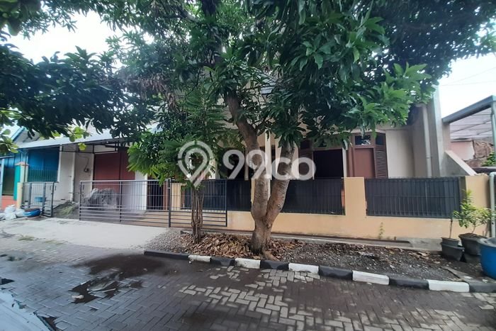 For Sale Hunian Rumah Terawat 4 KT di Gajah, Semarang For Sale Hunian Rumah Terawat 4 KT di Gajah, Semarang