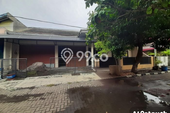 For Sale Hunian Rumah Terawat 4 KT di Gajah, Semarang For Sale Hunian Rumah Terawat 4 KT di Gajah, Semarang