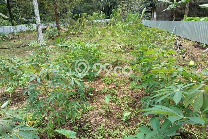 LOKASI STRATEGIS! Tanah Kawasan Mijen, Luas 1650m², Lokasi Potensial, Cocok untuk Investasi LOKASI STRATEGIS! Tanah Kawasan Mijen, Luas 1650m², Lokasi Potensial, Cocok untuk Investasi