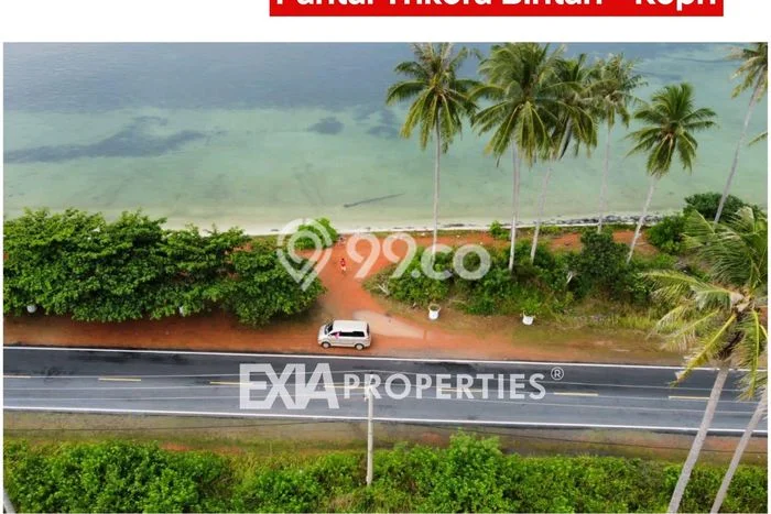 Kavling Tanah di Bintan Utara Dijual Luas 63046m2 Legalitas SHM Kavling Tanah di Bintan Utara Dijual Luas 63046m2 Legalitas SHM
