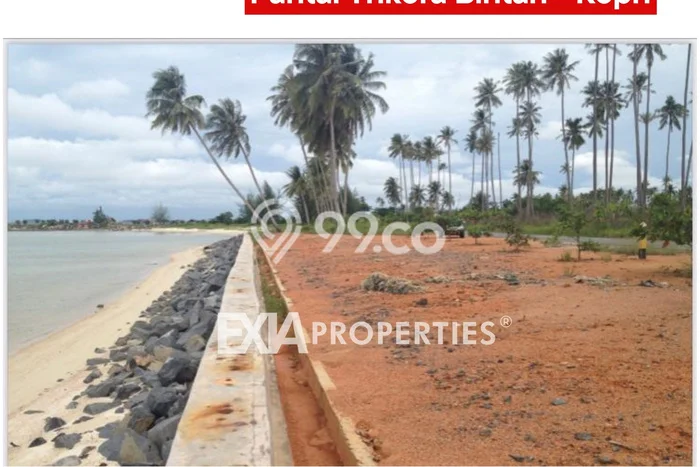 Kavling Tanah di Bintan Utara Dijual Luas 63046m2 Legalitas SHM Kavling Tanah di Bintan Utara Dijual Luas 63046m2 Legalitas SHM