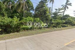Tanah Komersial Dijual di Panimbang Pandeglang 175844m2 Tanah Komersial Dijual di Panimbang Pandeglang 175844m2