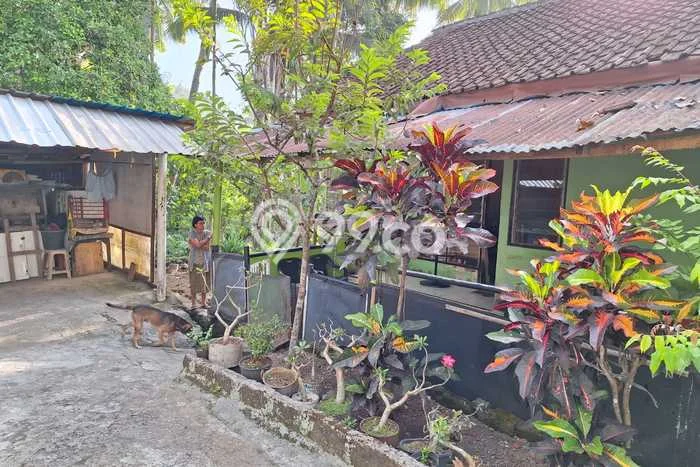 SPECIAL OFFER! Rumah Asri di Kerambitan, LT 197m2m² LB 70m2m² SPECIAL OFFER! Rumah Asri di Kerambitan, LT 197m2m² LB 70m2m²