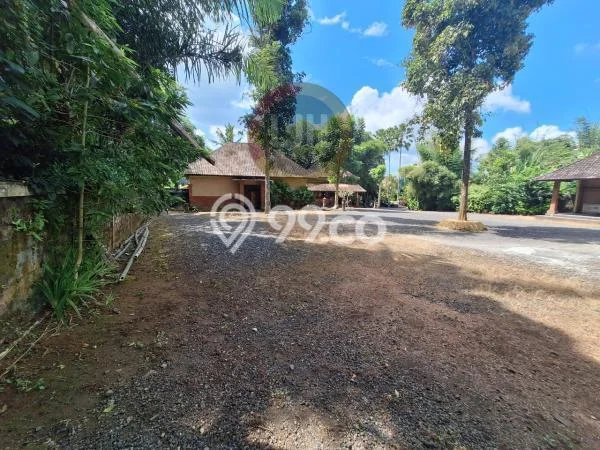 Kavling Tanah Dijual di Petang, Badung, Luas 11740m2 Area Strategis Kavling Tanah Dijual di Petang, Badung, Luas 11740m2 Area Strategis