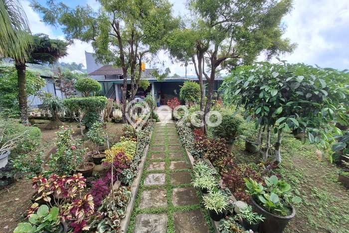 Lahan Dijual Lokasi Strategis di Tabanan dengan Luas 1640m2 Lahan Dijual Lokasi Strategis di Tabanan dengan Luas 1640m2