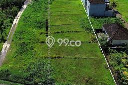 Lahan untuk Dijual di Tabanan Tabanan Luas 1980m2 Lahan untuk Dijual di Tabanan Tabanan Luas 1980m2