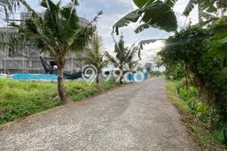 Tanah Kavling Dijual di Tabanan dengan Spesifikasi 630m2 Tanah Kavling Dijual di Tabanan dengan Spesifikasi 630m2