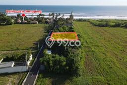 Lahan Investasi Lokasi Tabanan Tabanan SHM Lahan Investasi Lokasi Tabanan Tabanan SHM
