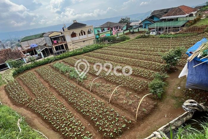 Dijual Tanah di Cipanas Cianjur Luas 770m2 SHM Dijual Tanah di Cipanas Cianjur Luas 770m2 SHM