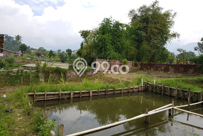 Tanah Dijual Lokasi Cipanas, Cianjur dengan Luas Tanah 4235m2 dan Status SHM Tanah Dijual Lokasi Cipanas, Cianjur dengan Luas Tanah 4235m2 dan Status SHM