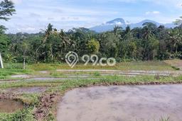 Tanah Dijual Lokasi Baturiti, Tabanan Luas 5300m2 Legalitas Aman Tanah Dijual Lokasi Baturiti, Tabanan Luas 5300m2 Legalitas Aman