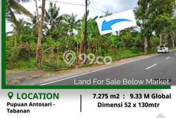 Tanah Kavling Dijual di Tabanan dengan Spesifikasi 7275m2 Tanah Kavling Dijual di Tabanan dengan Spesifikasi 7275m2