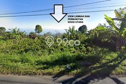 Tanah Kavling Dijual di Buleleng dengan Spesifikasi 2000m2 Tanah Kavling Dijual di Buleleng dengan Spesifikasi 2000m2
