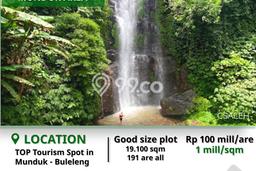 Tanah Kavling Dijual di Munduk, Buleleng dengan Luas Tanah 19100m2 Tanah Kavling Dijual di Munduk, Buleleng dengan Luas Tanah 19100m2