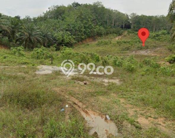 Untuk Dijual Tanah di Sepaku Penajam Paser Utara Luas 300m2 Hak Pakai Untuk Dijual Tanah di Sepaku Penajam Paser Utara Luas 300m2 Hak Pakai