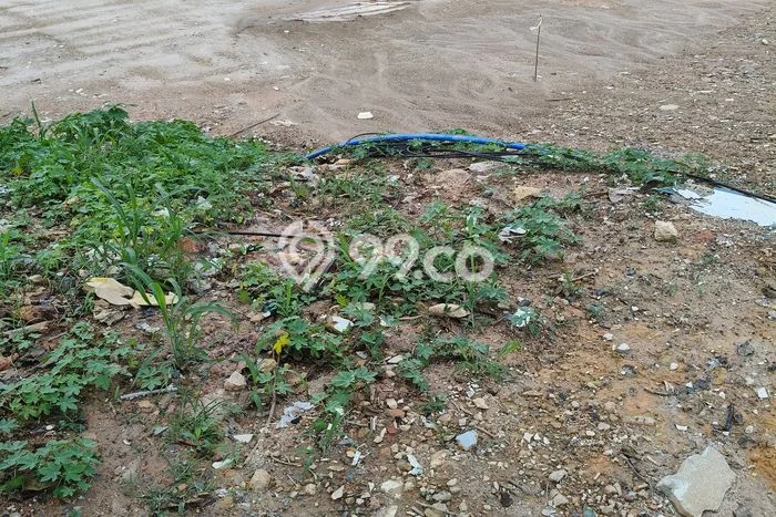 Tanah Kavling untuk Dijual di Sagulung Batam 68000m2 Tanah Kavling untuk Dijual di Sagulung Batam 68000m2