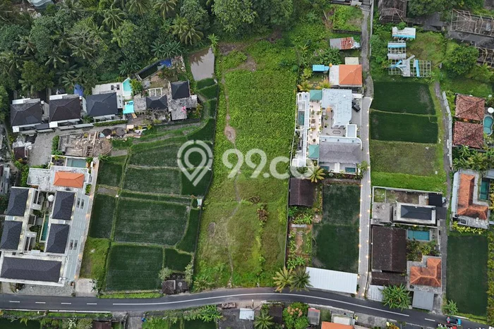 Untuk Disewa Tanah di Ubud Luas 3200m2 SHM Untuk Disewa Tanah di Ubud Luas 3200m2 SHM
