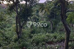 Dijual Tanah di Badung, Luas 1600m2 - Dijual Tanah di Badung, Luas 1600m2 -