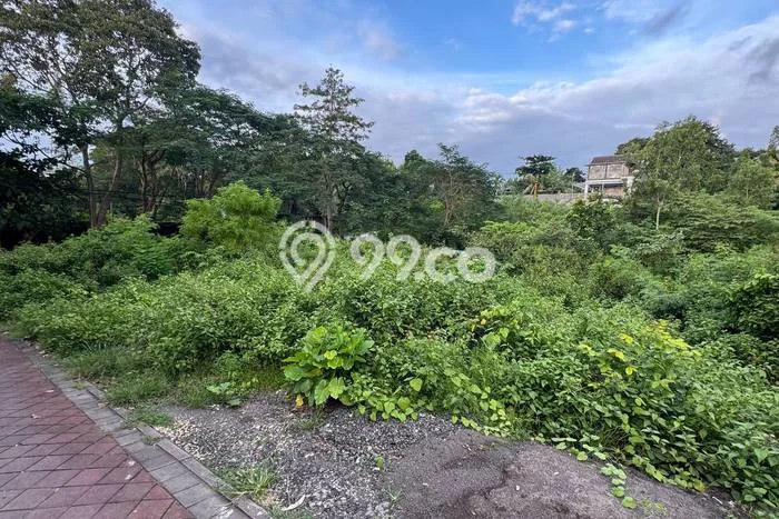 Tanah Kavling Disewakan di Balangan dengan Luas 1000m2 Tanah Kavling Disewakan di Balangan dengan Luas 1000m2