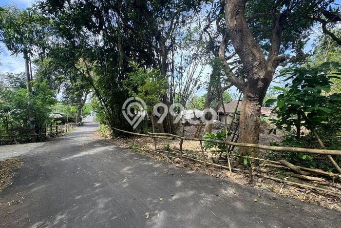 Kavling Tanah untuk Disewa di Pecatu Lahan Luas 2000m2 Kavling Tanah untuk Disewa di Pecatu Lahan Luas 2000m2