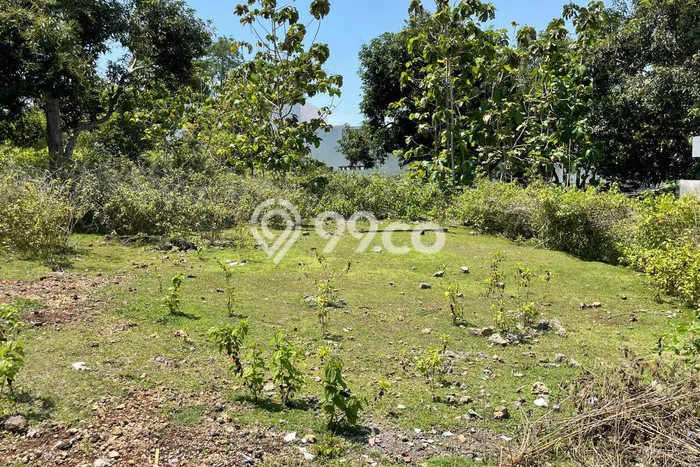 Kavling Tanah untuk Disewa di Balangan Lahan Luas 450m2 Kavling Tanah untuk Disewa di Balangan Lahan Luas 450m2
