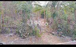Tanah Dijual di Badung Seluas 2360m2 Strategis Tanah Dijual di Badung Seluas 2360m2 Strategis