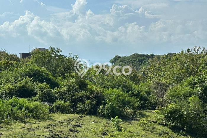 Lahan Disewakan Lokasi Balangan Badung Luas 384m2 Lahan Disewakan Lokasi Balangan Badung Luas 384m2