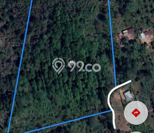 Tanah Dijual Lokasi Strategis di Buleleng dengan Luas 9900m2 Tanah Dijual Lokasi Strategis di Buleleng dengan Luas 9900m2