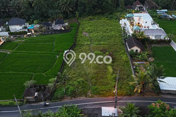 Untuk Disewa Tanah di Ubud Luas 3200m2 SHM Untuk Disewa Tanah di Ubud Luas 3200m2 SHM