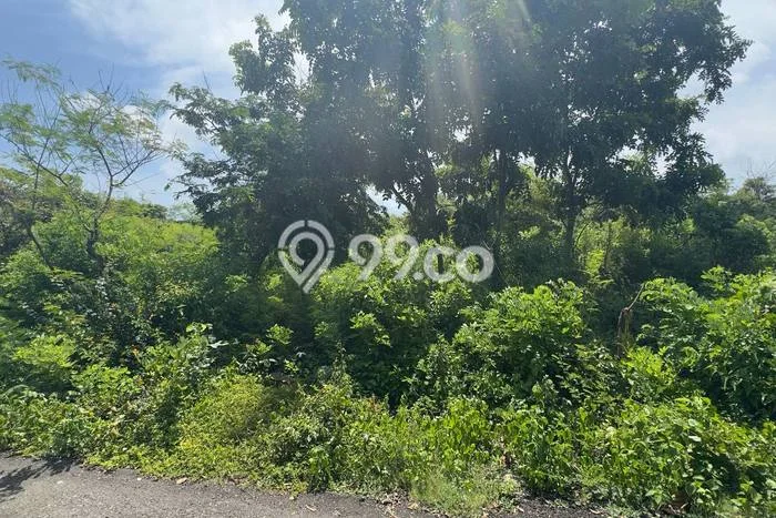 Tanah Disewa di Ungasan Strategis dan Memiliki Luas 2200m2 Tanah Disewa di Ungasan Strategis dan Memiliki Luas 2200m2
