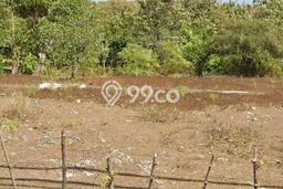 Tanah Kavling Dijual di Badung dengan Spesifikasi 2000m2 Tanah Kavling Dijual di Badung dengan Spesifikasi 2000m2