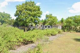 Tanah untuk Disewa di Badung Luas 8600m2 Tanah untuk Disewa di Badung Luas 8600m2