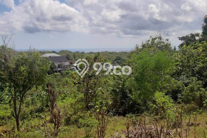 Tanah Disewa di Pecatu Strategis dan Memiliki Luas 10000m2 Tanah Disewa di Pecatu Strategis dan Memiliki Luas 10000m2