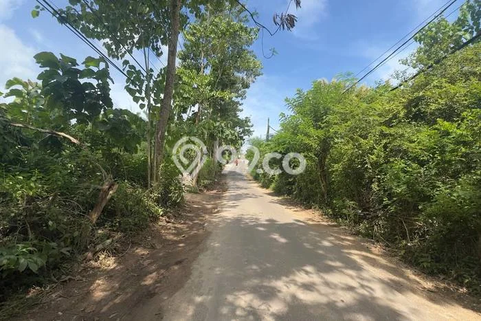 Untuk Disewa Tanah di Badung, Luas 4900m2 Area Berkembang Untuk Disewa Tanah di Badung, Luas 4900m2 Area Berkembang
