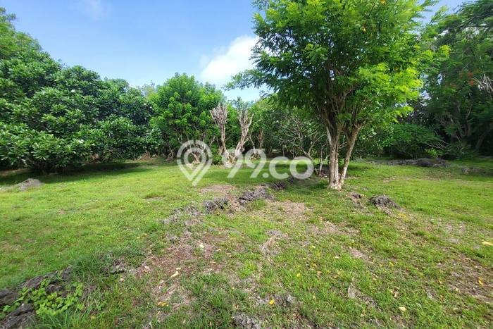 Tanah di Denpasar Selatan, Denpasar Luas 27900m2 Dijual Segera Tanah di Denpasar Selatan, Denpasar Luas 27900m2 Dijual Segera