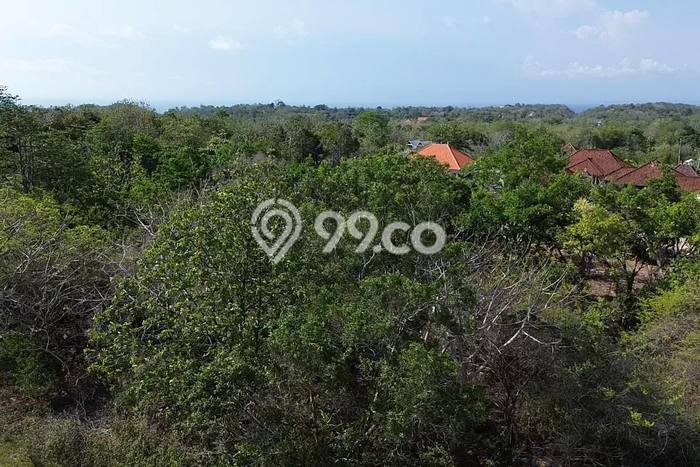 Tanah Kavling Disewakan di uluwatu dengan Luas 2000m2 Tanah Kavling Disewakan di uluwatu dengan Luas 2000m2
