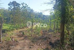 Tanah Kavling Dijual di Badung dengan Spesifikasi 3000m2 Tanah Kavling Dijual di Badung dengan Spesifikasi 3000m2