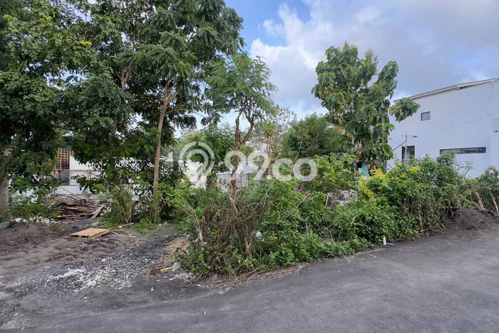 Tanah Disewakan Lokasi Balangan Badung Luas 303m2 Tanah Disewakan Lokasi Balangan Badung Luas 303m2