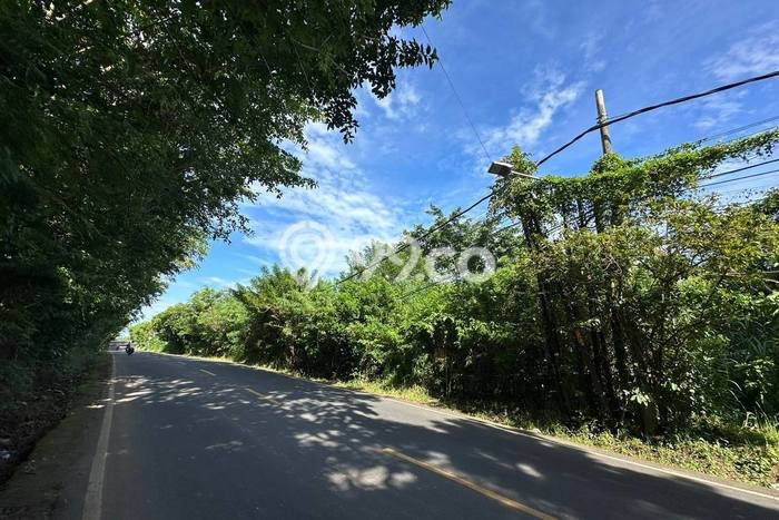 Tanah Kavling Disewakan di uluwatu dengan Luas 2000m2 Tanah Kavling Disewakan di uluwatu dengan Luas 2000m2