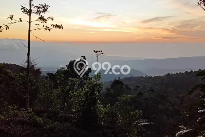Tanah Dijual Lokasi Strategis di Buleleng dengan Luas 9900m2 Tanah Dijual Lokasi Strategis di Buleleng dengan Luas 9900m2