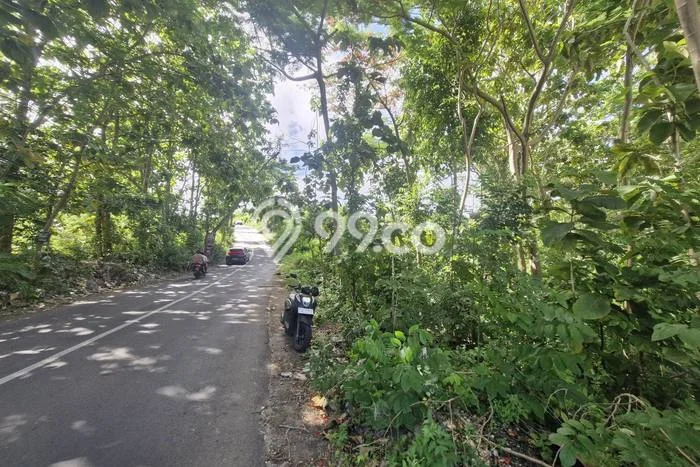 Disewakan Tanah di Ungasan Badung Seluas 1000m2 Disewakan Tanah di Ungasan Badung Seluas 1000m2