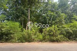Untuk Disewa Tanah di Badung, Luas 4900m2 Area Berkembang Untuk Disewa Tanah di Badung, Luas 4900m2 Area Berkembang