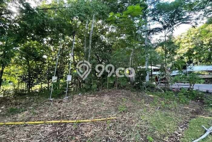 Untuk Disewa Tanah di Ungasan Badung Seluas 1620m2 Untuk Disewa Tanah di Ungasan Badung Seluas 1620m2