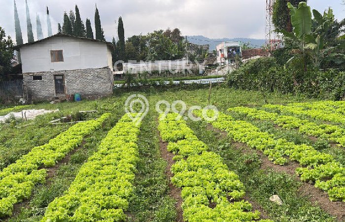 Lahan Kosong Dijual di Lembang, Bandung Barat, Luas 3000m2 Area Strategis Lahan Kosong Dijual di Lembang, Bandung Barat, Luas 3000m2 Area Strategis