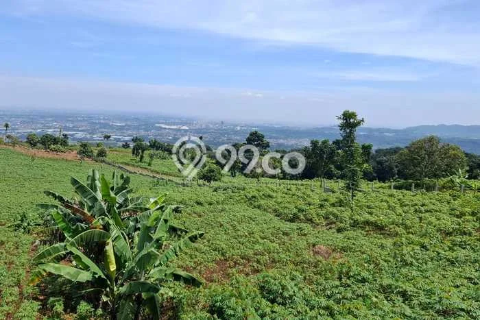 Tanah Dijual Lokasi Citeureup Bogor SHM Tanah Dijual Lokasi Citeureup Bogor SHM