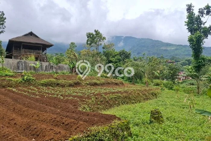 Jarang Ada! Tanah di Cigombong Punya Luas 1000m2 SHM Jarang Ada! Tanah di Cigombong Punya Luas 1000m2 SHM