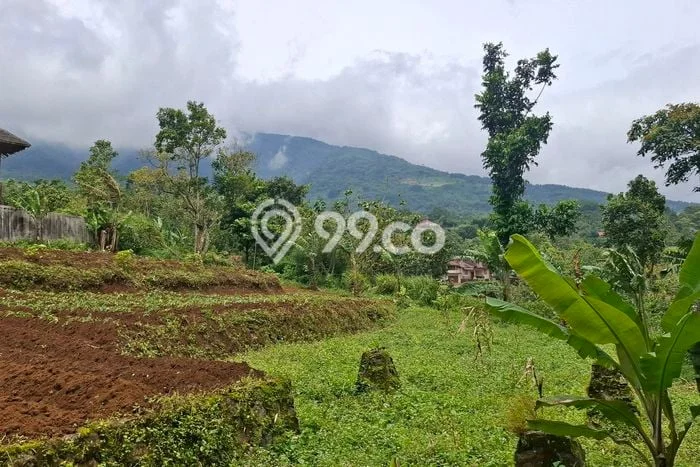 Jarang Ada! Tanah di Cigombong Punya Luas 1000m2 SHM Jarang Ada! Tanah di Cigombong Punya Luas 1000m2 SHM