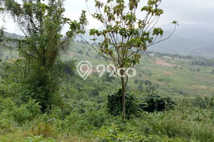 Lahan Strategis di Sukamakmur Dijual dengan Luas 7398m2 Lahan Strategis di Sukamakmur Dijual dengan Luas 7398m2