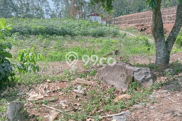 Tanah untuk Dijual di Sukamakmur Bogor Luas 30000m2 Tanah untuk Dijual di Sukamakmur Bogor Luas 30000m2